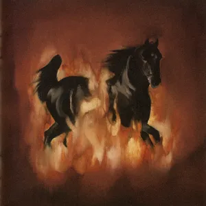 The Besnard lakes are the dark horse